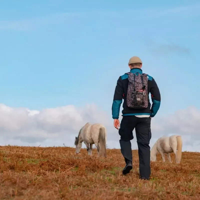 Garway and Its Ponies